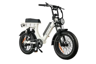 Rower elektryczny górski Fat Tire